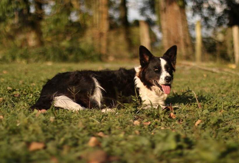 پانسیون Buriti Ecoh Rnt56521