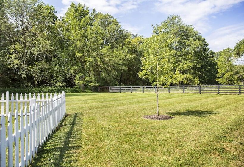 Pillow And Paddock B&b