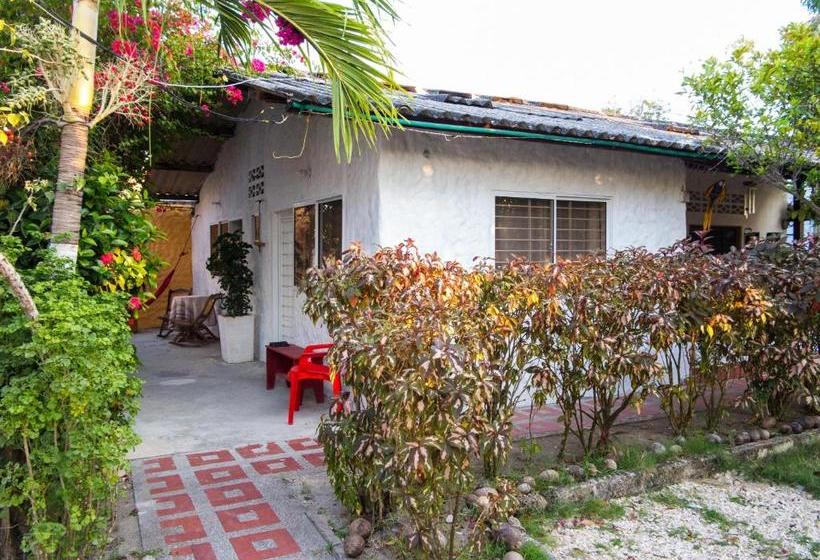 پانسیون Hostal Del Mar   Tolu