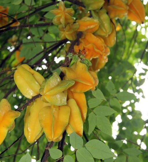 Heron Cay Lakeview Bed & Breakfast