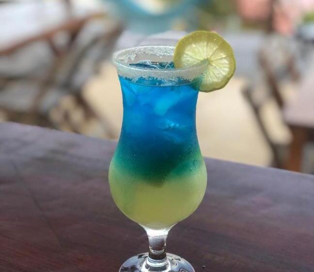 بنسيون Pousada Bugaendrus