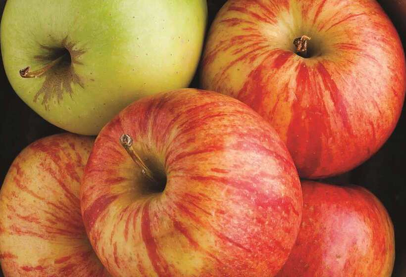 בית מלון כפרי La Quinta Inn & Suites By Wyndham Atlanta South   Mcdonough