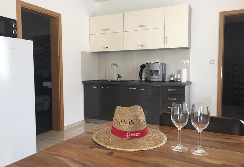 پانسیون Penzion Za Radnicí