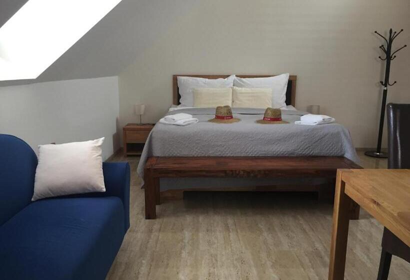 پانسیون Penzion Za Radnicí