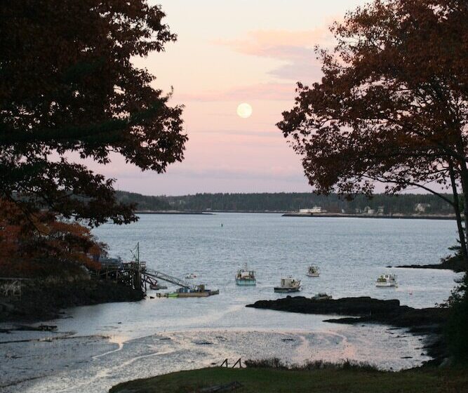 Coveside Bed & Breakfast