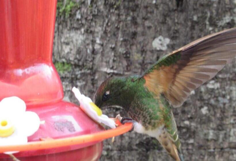 Santamaría Hotel Bed And Breakfast