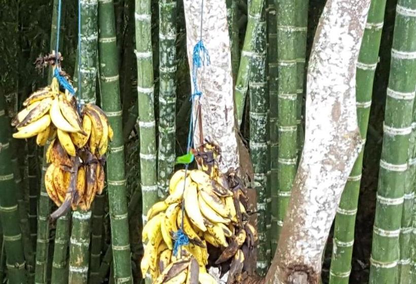 Santamaría Hotel Bed And Breakfast