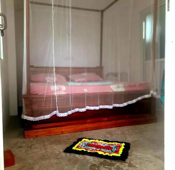 پانسیون Ameesha Guesthouse