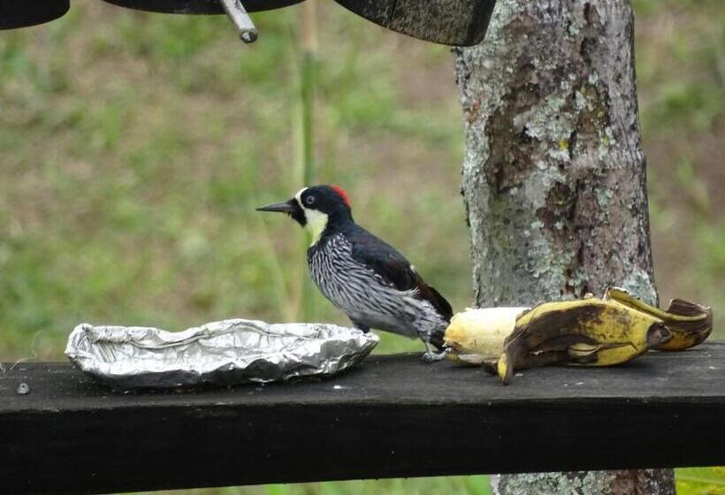 Santamaría Hotel Bed And Breakfast