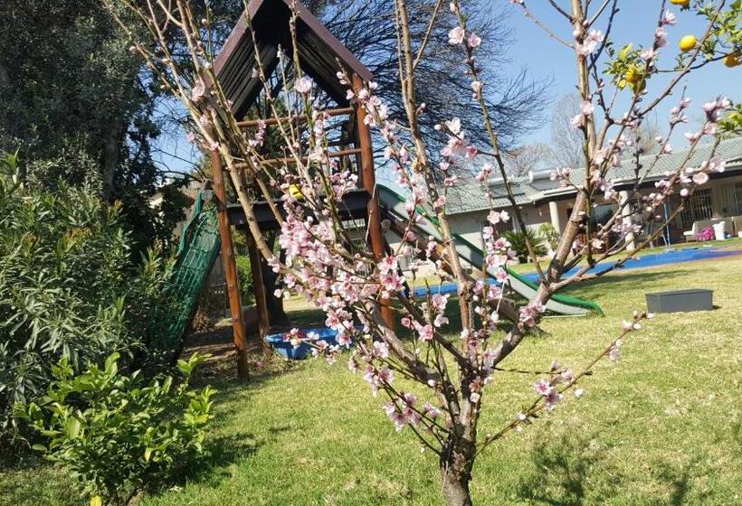 بنسيون 8 Ibis Lane Guest House