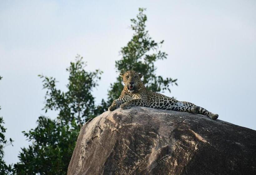 ペンション Lake Ibis
