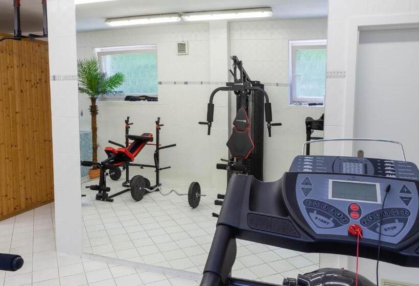 پانسیون Penzion Solid Spa