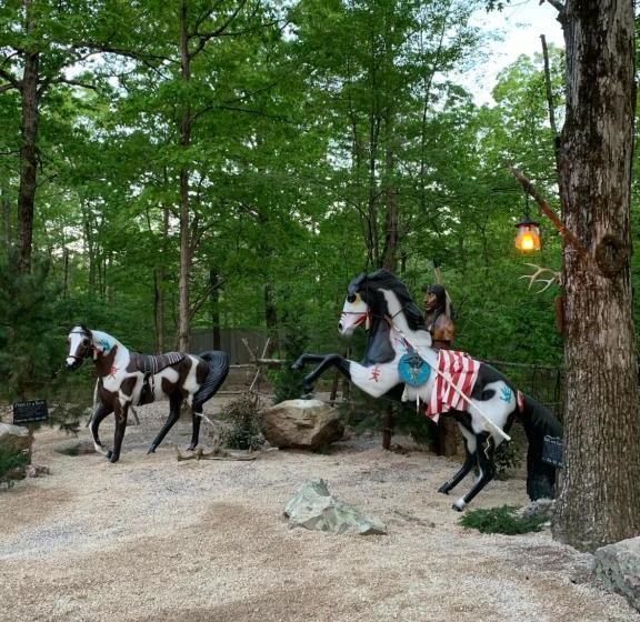 مبيت وإفطار Fox Pass Cabins