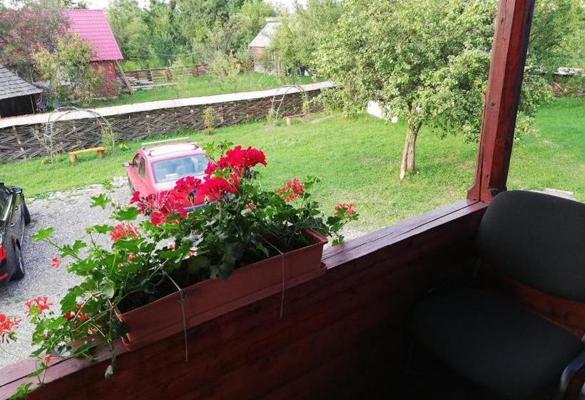 پانسیون Cabana Ocna Mesaros
