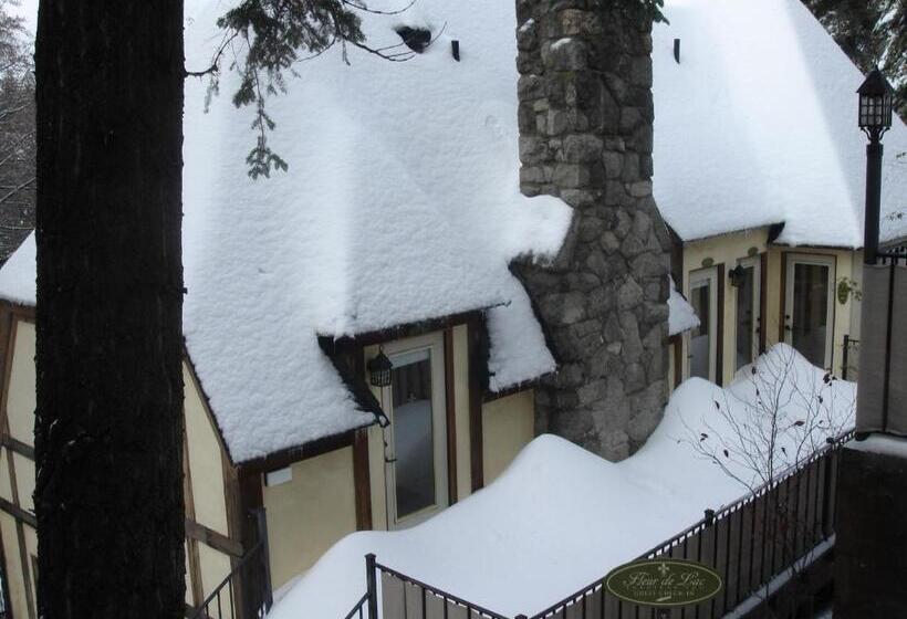 פנסיון Fleur De Lac Europeran Inn