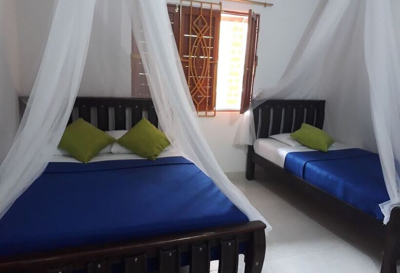پانسیون Hostal Cocobomgo