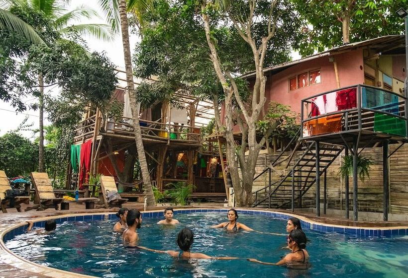 هاستل Kanta Sana