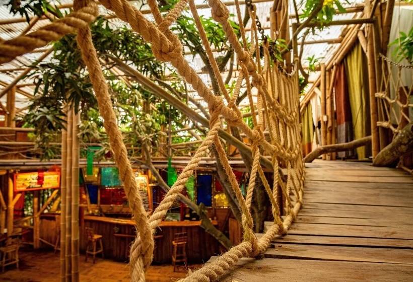 هاستل Kanta Sana