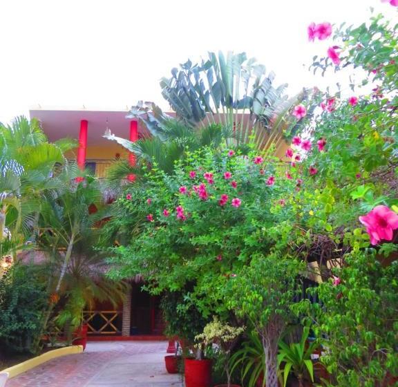 فندق صغير La Cruz Inn