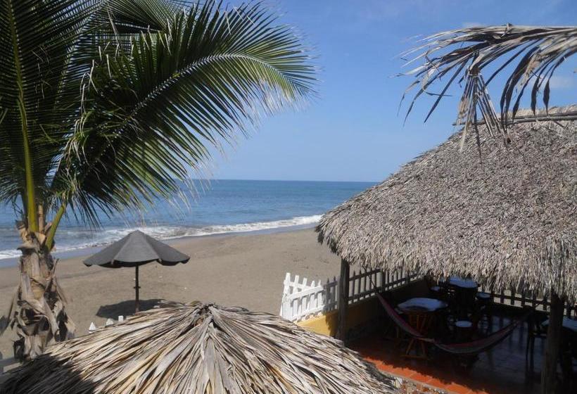膳宿费 Beach Hostal Oasis