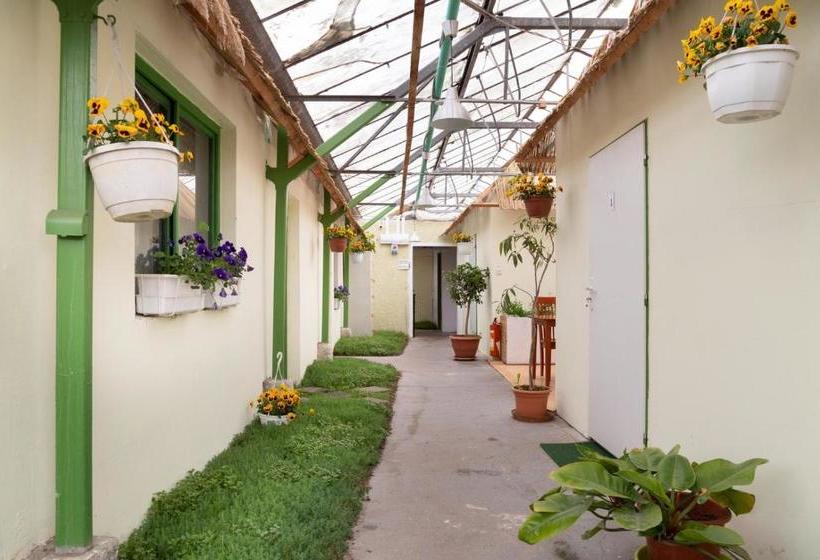 پانسیون Rastlinky.sk Greenhouse Guestrooms