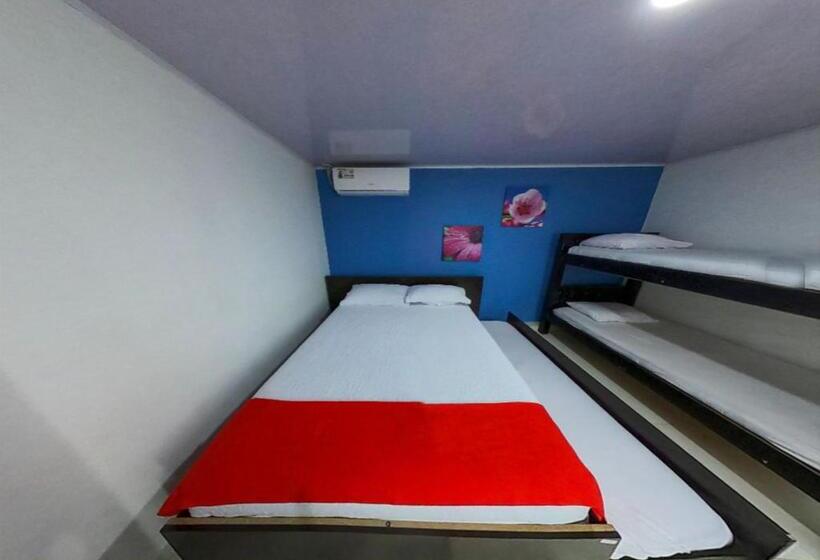 هاستل Apartamentos Isla Tropical