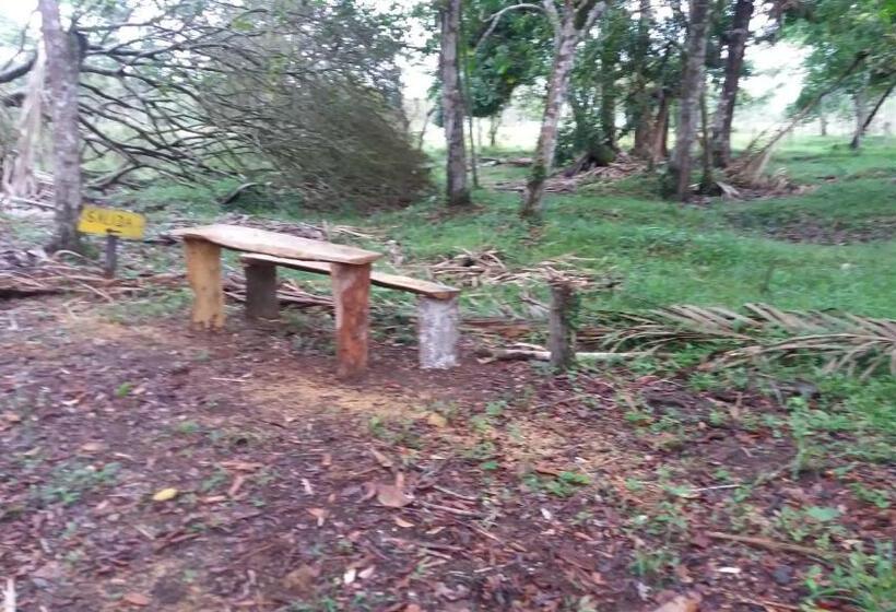 הוסטל Posada Rural Oasis