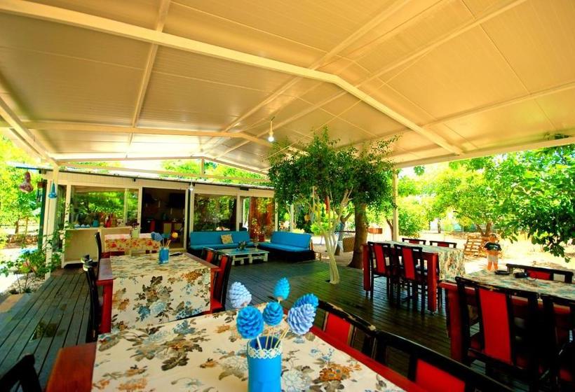 پانسیون Cemils Guest House