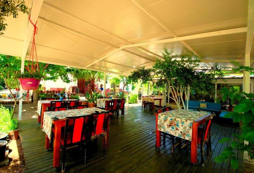 پانسیون Cemils Guest House