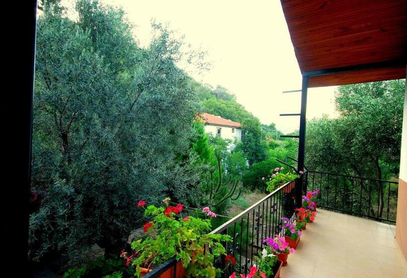 پانسیون Cemils Guest House