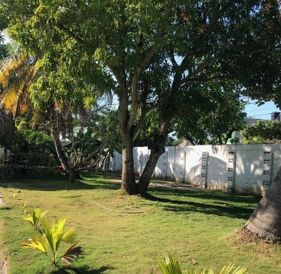 پانسیون Costa De Vikingos