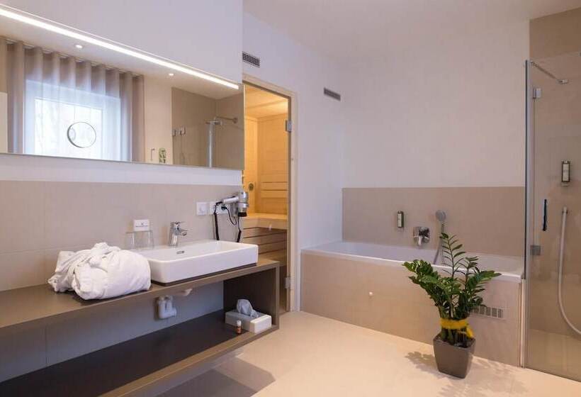 Vitus Steyr Hotel & Spa Suites