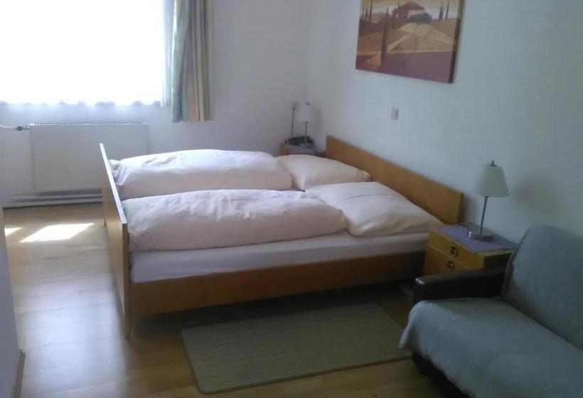 ユースホステル Gasthof Schatzl