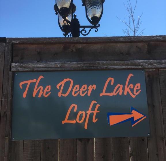 هاستل The Deer Lake Loft