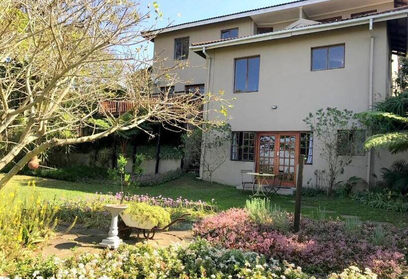 פנסיון A Kings View