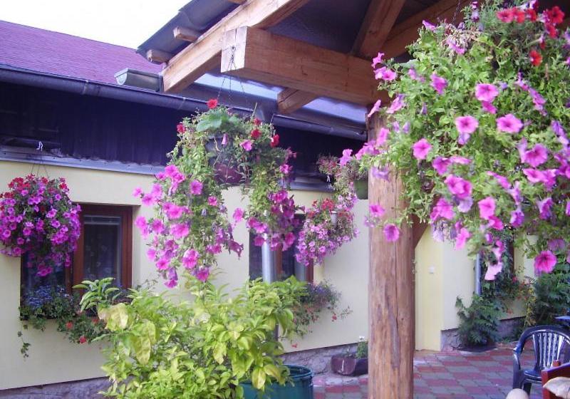 پانسیون Penzion Many Peny