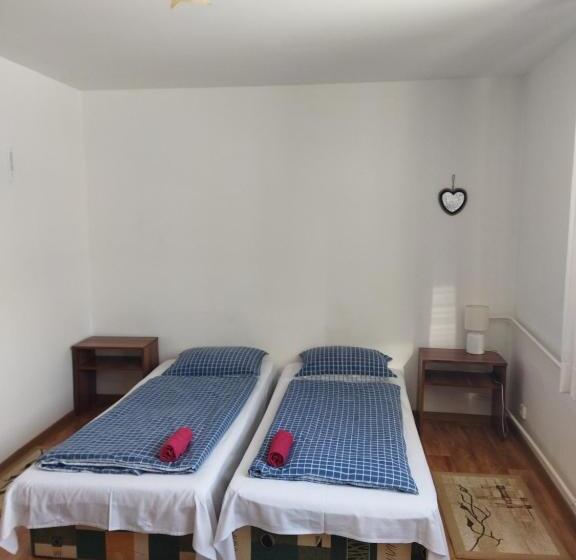 הוסטל Lucky Cat