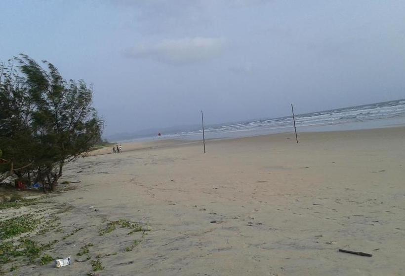 פנסיון Lobo S Guesthouse