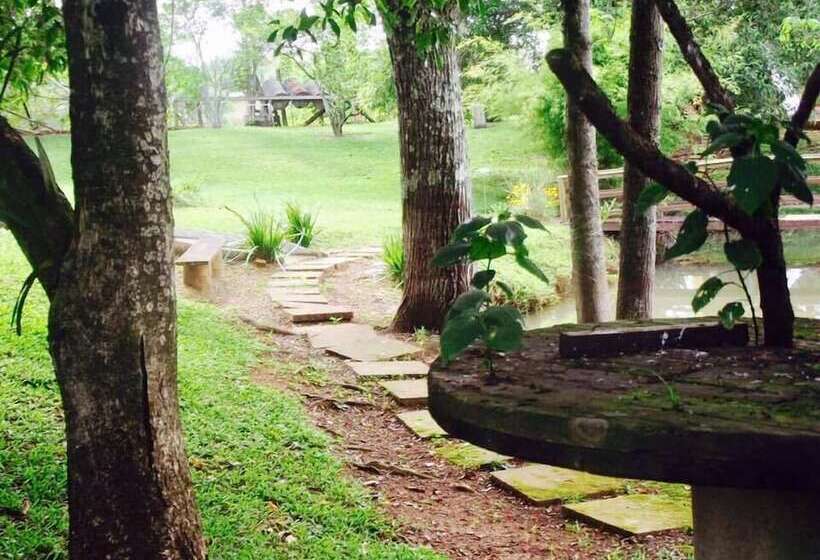 بنسيون Pousada Vó Liane