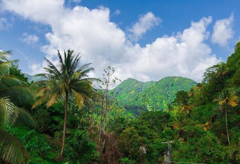 پانسیون Serenity Escape St Lucia