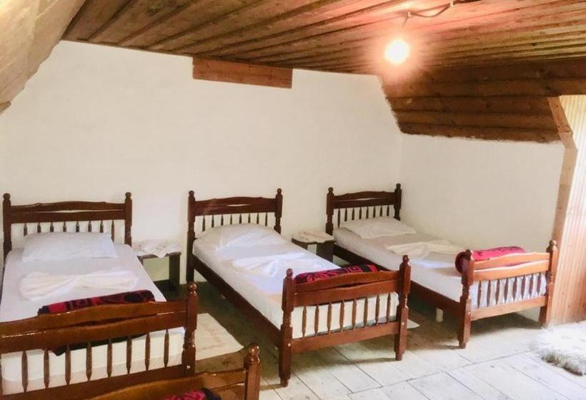 پانسیون Guesthouse Dritan Tethorja