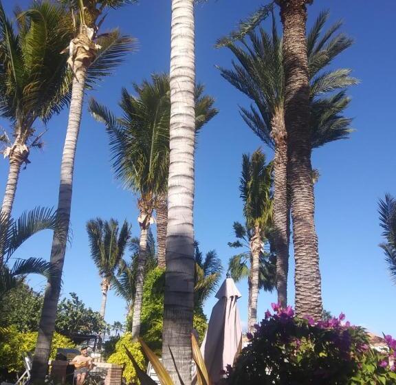 پانسیون Coco Cabañas And Casitas Vacation Rentals