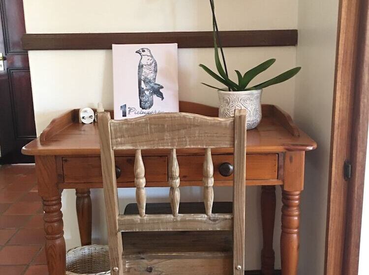 بنسيون Cuckoos Nest Guest House