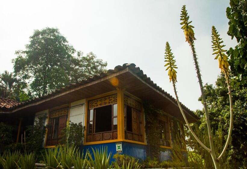 پانسیون El Laurel Finca Agroturistica