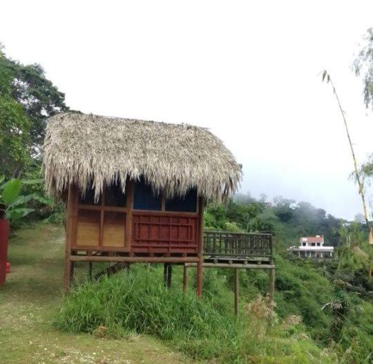 هتل Miradores Del Oso Perezoso