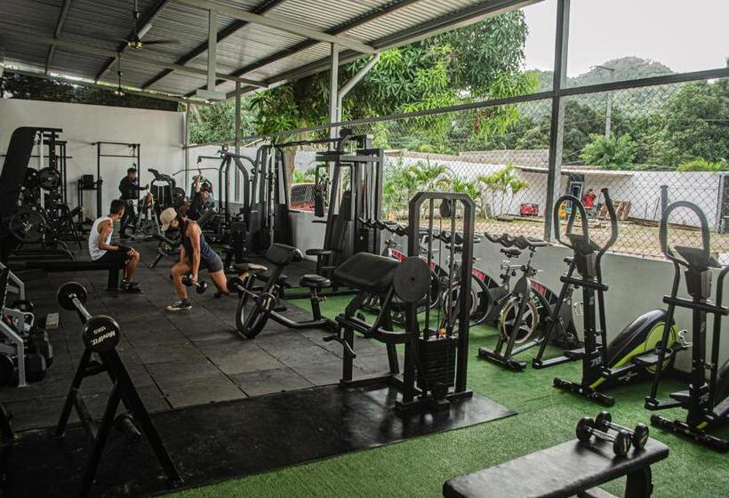 هاستل Casa Palomino Hostal