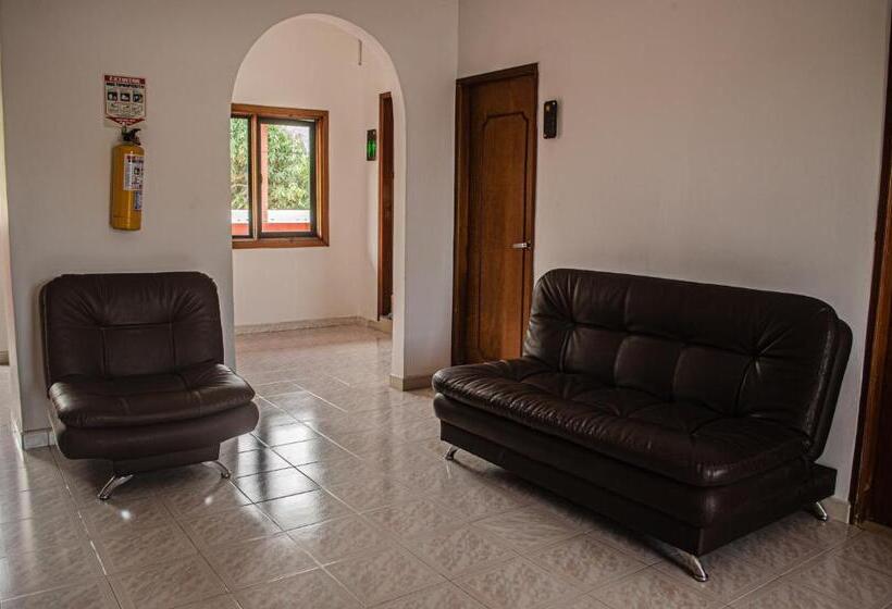 هاستل Casa Palomino Hostal