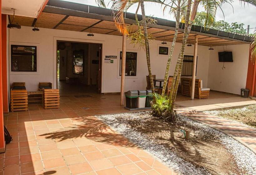 هاستل Casa Palomino Hostal