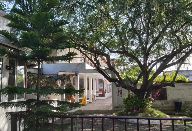 پانسیون Hostal Gualingo