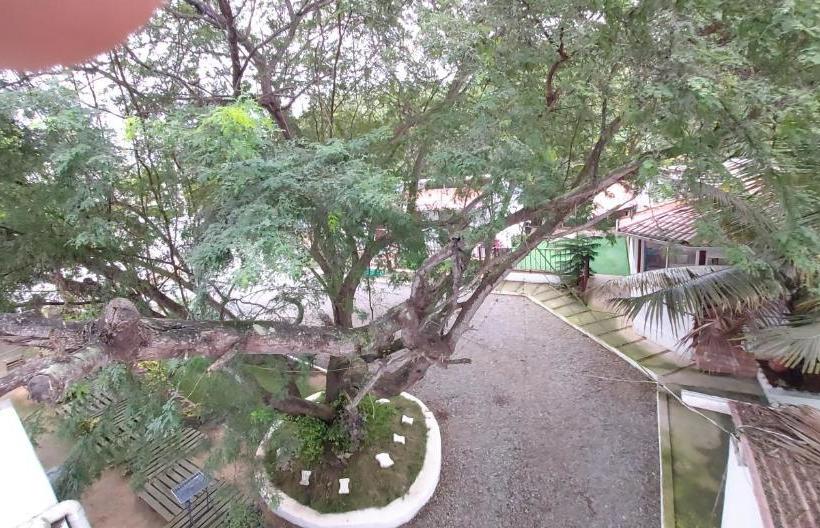 پانسیون Hostal Gualingo